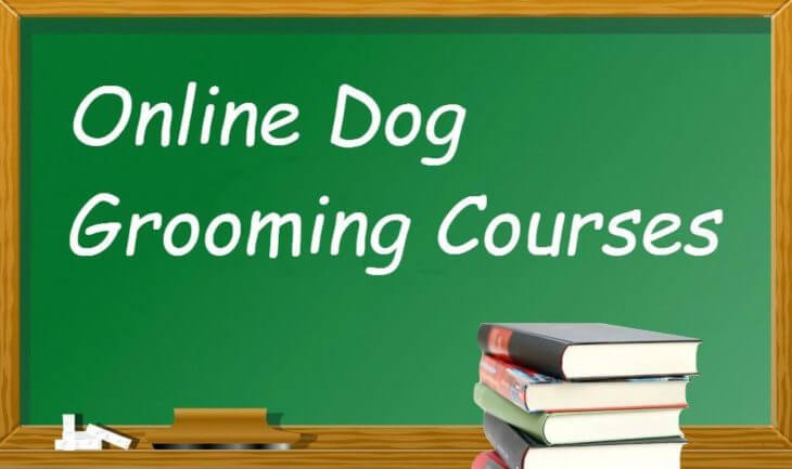 online dog grooming courses